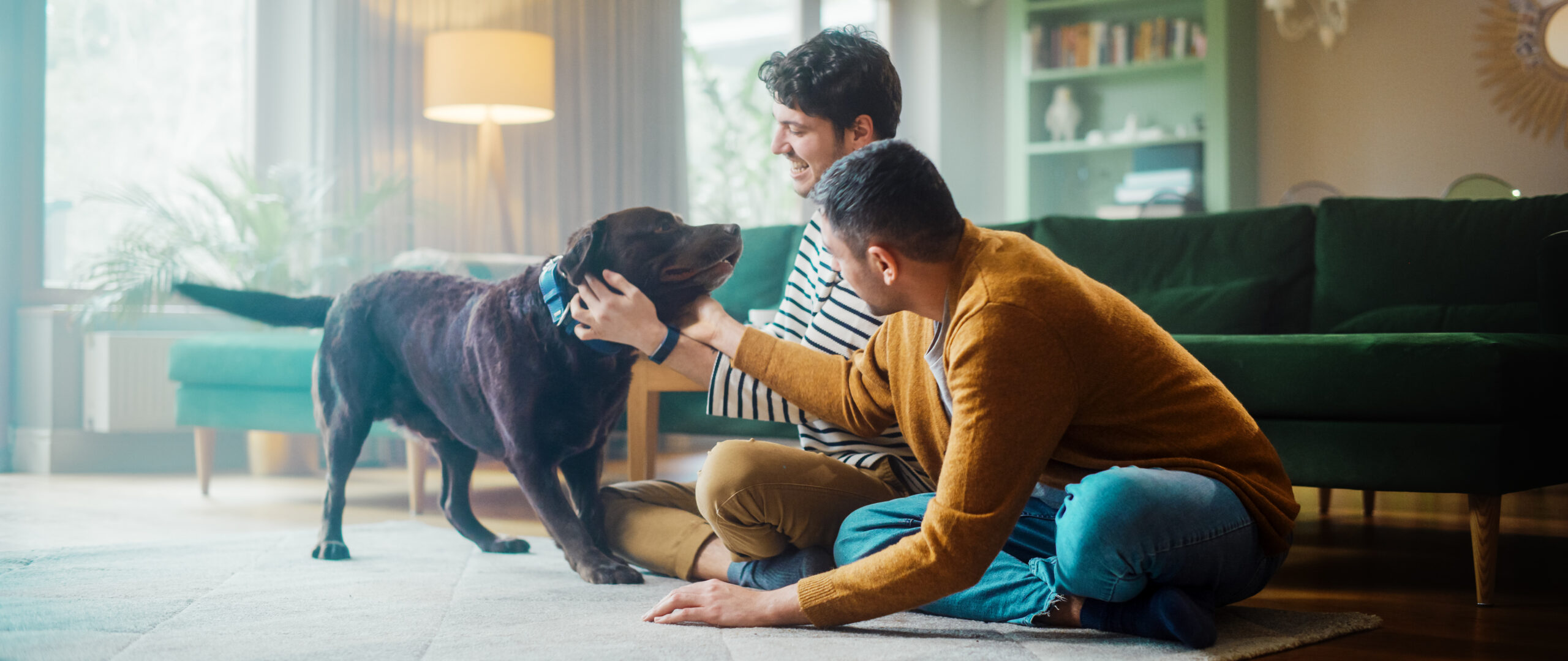 Forza Behavioral Consulting